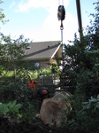 SX16449 Big crane lifting fallen over tree trunk in Soest.jpg.jpg